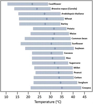 Potential Impact of Global Warming on Virus Propagation in Infected Plants and Agricultural Productivity